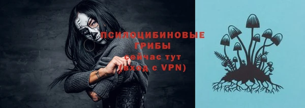 spice Арсеньев