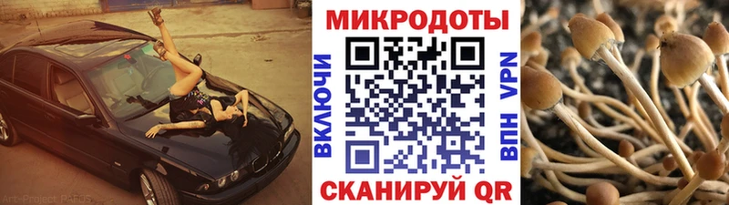 площадка как зайти  Сегежа  Галлюциногенные грибы прущие грибы 