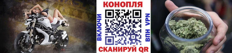 Канабис OG Kush  Сегежа 